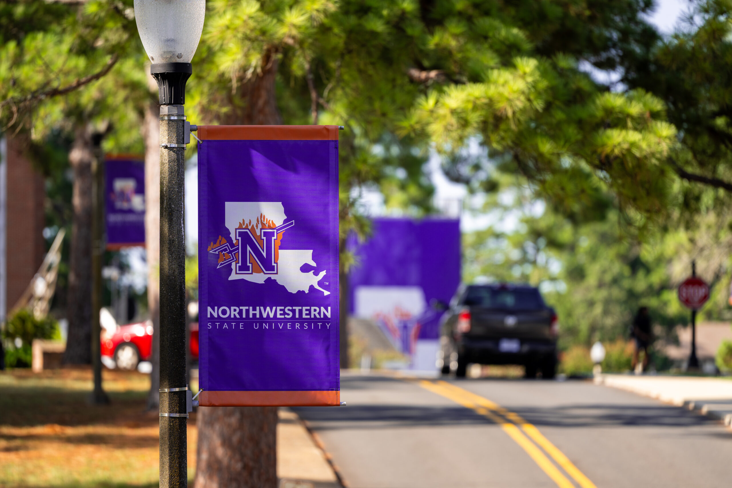 Banners on the NSU Campus