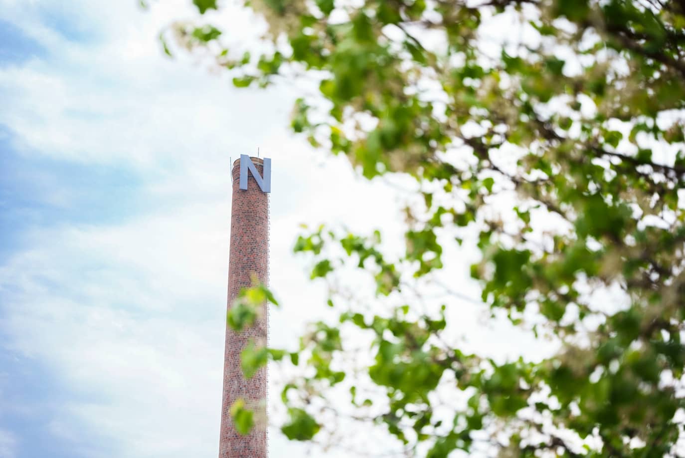 NSULA campus tower with tree