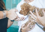 Career Image Block - Veterinary Technology 03