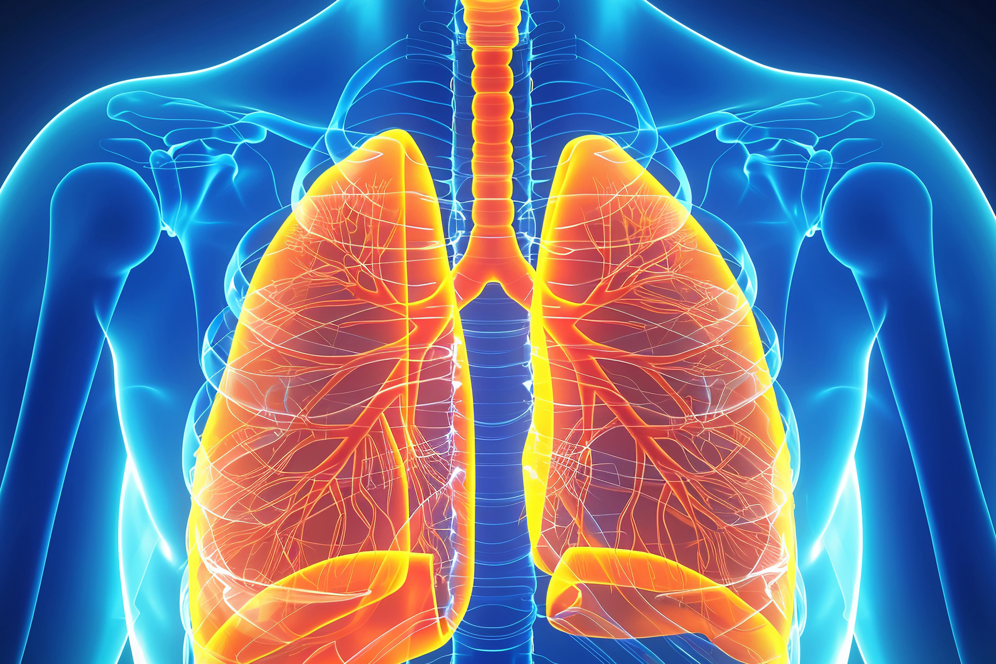 Allied Health diagram