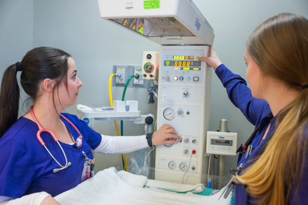 NSU Nursing students operating hospital equipment