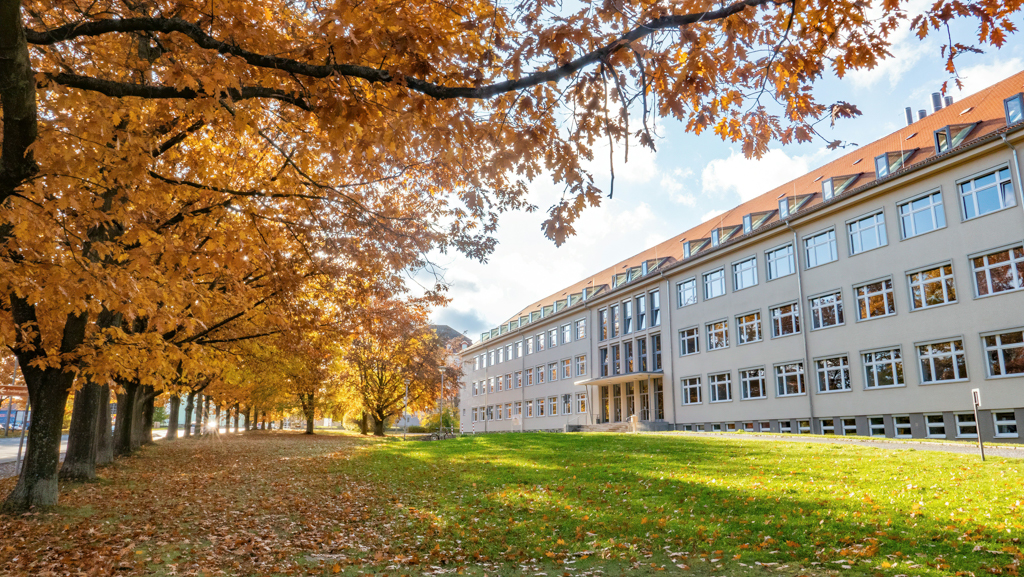 Internal Student Exchange Program