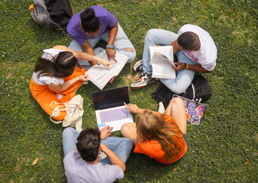 NSU students studying in the lawn