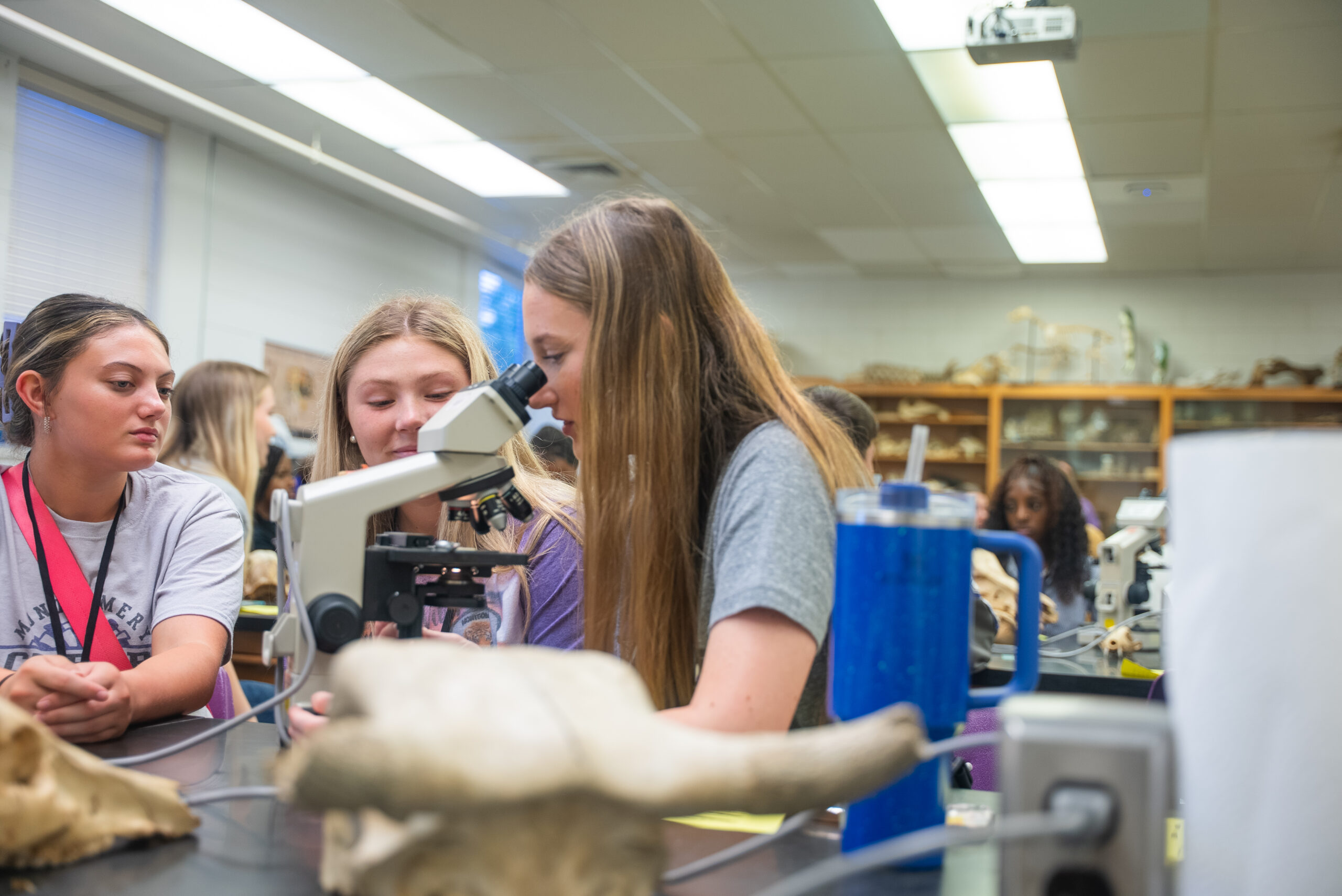 Students use a microscope to observe liquids