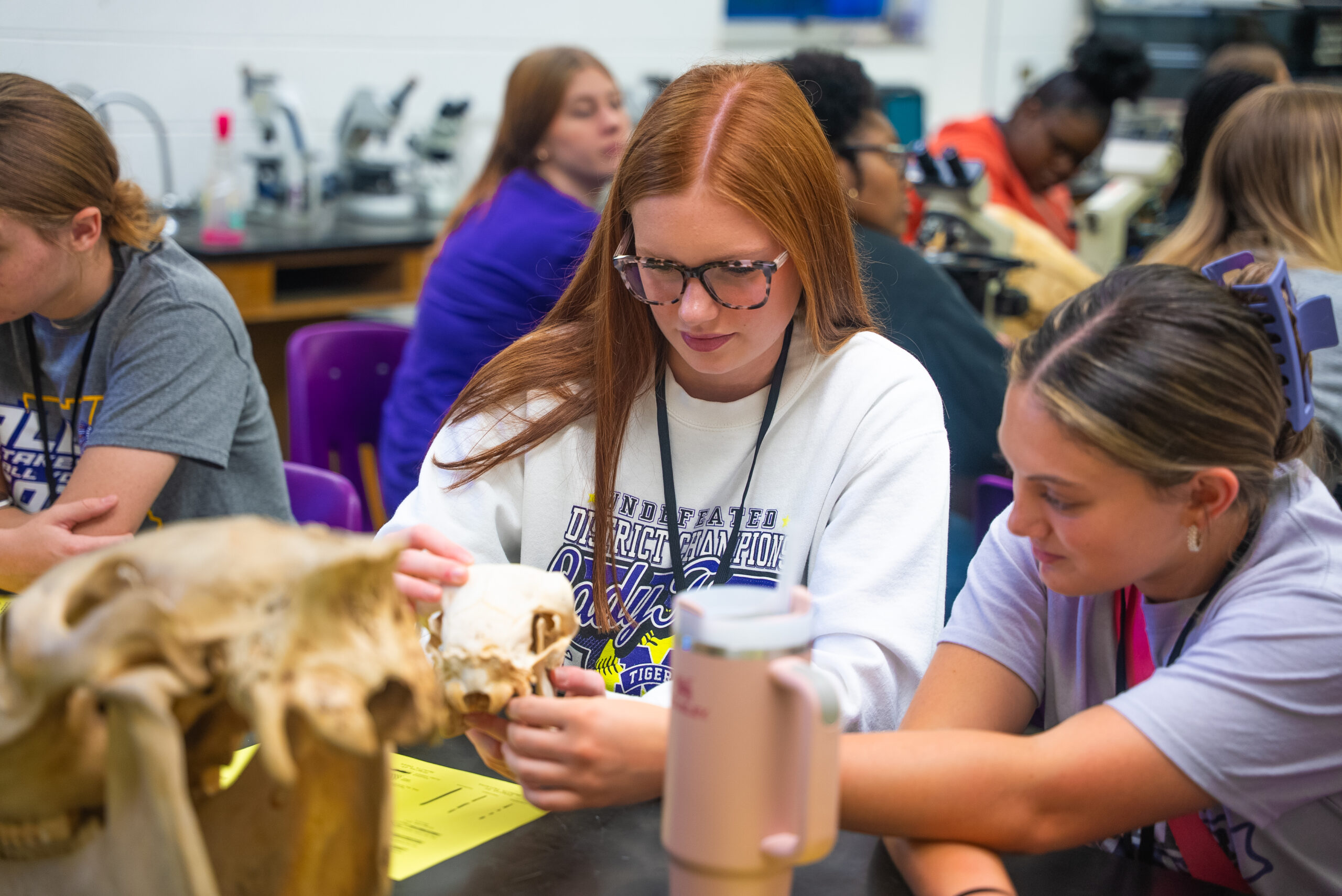 Students inspect a fossil in a biology classroom