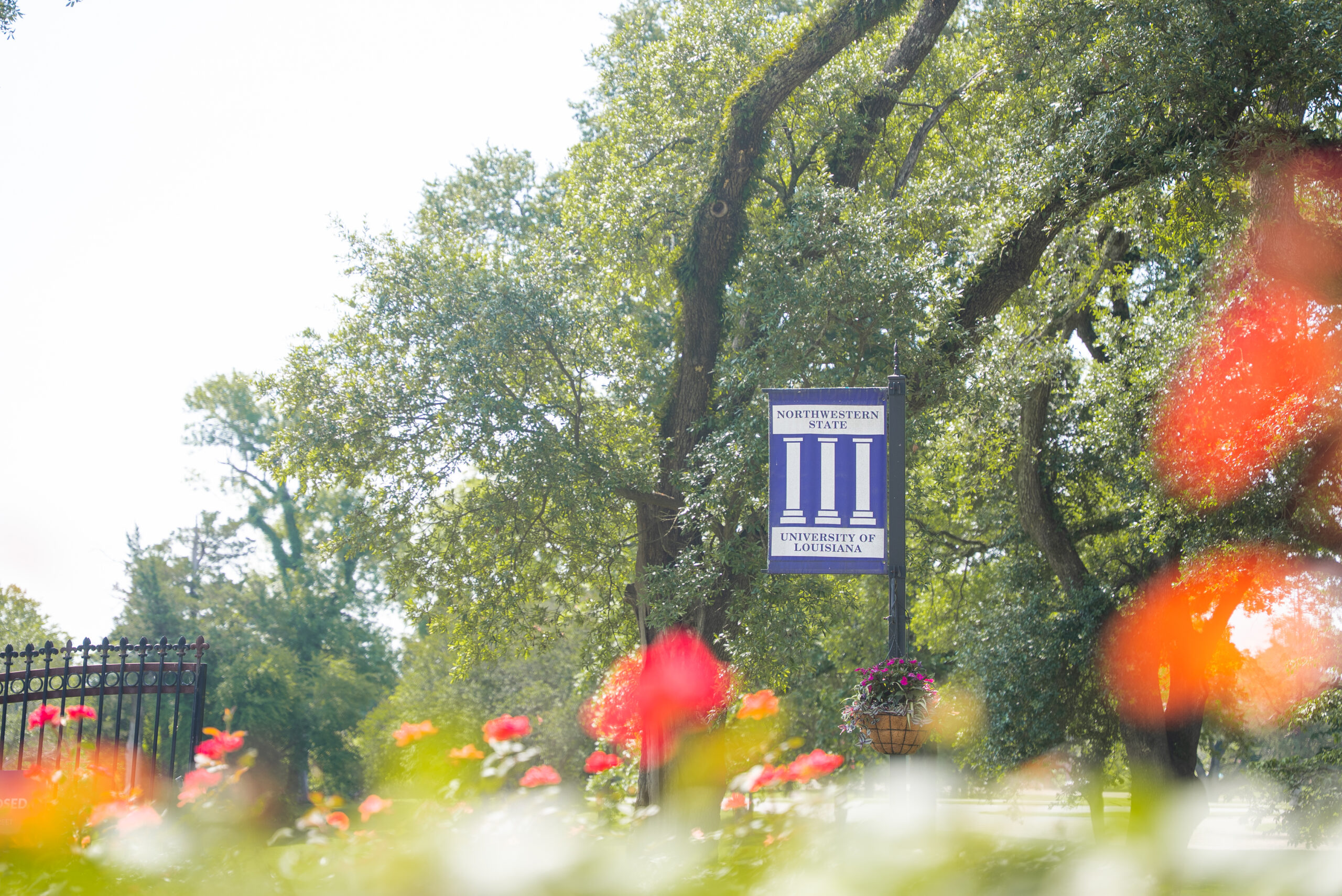 NSU pole banner