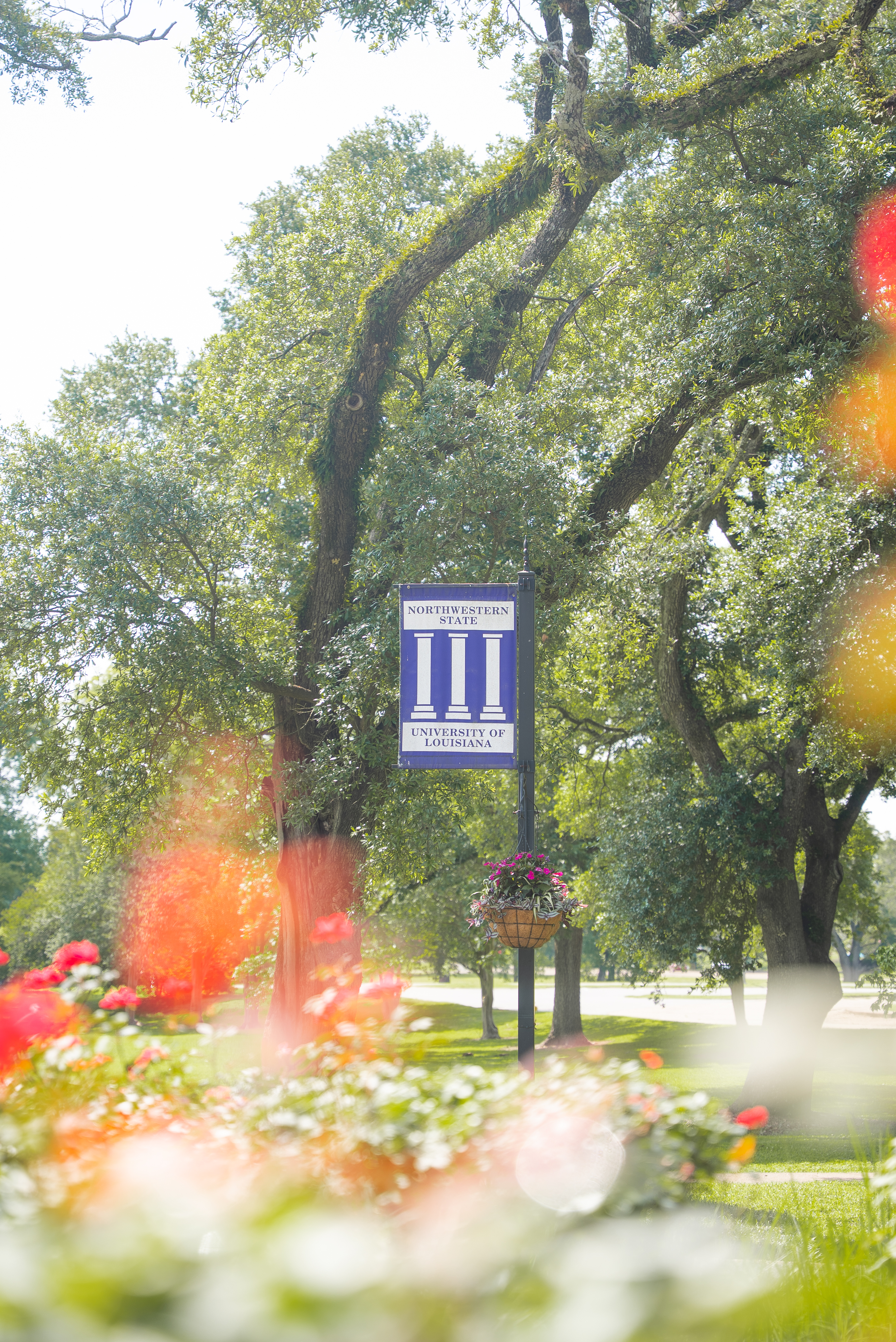 NSU Banner on campus