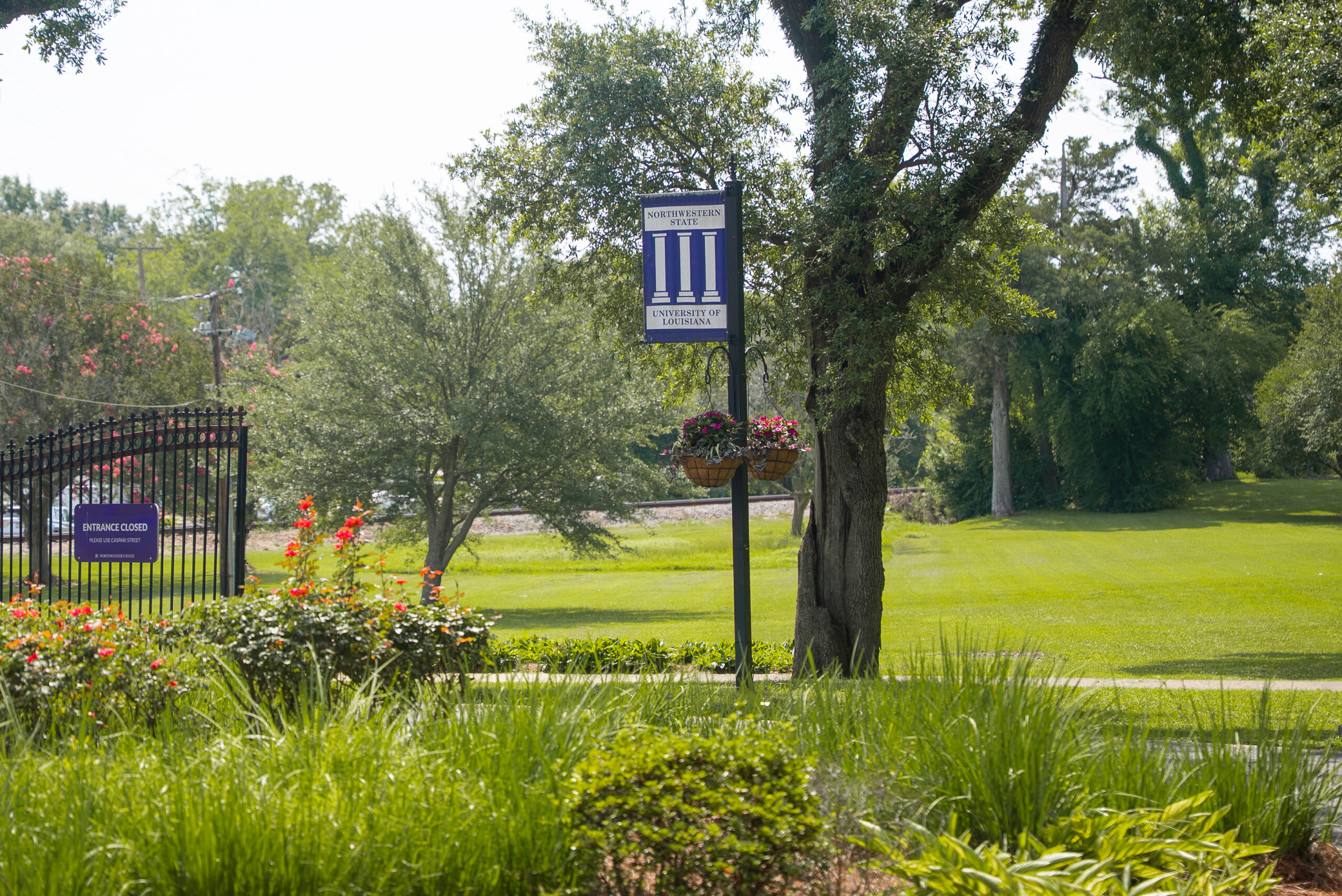 NSU Banner