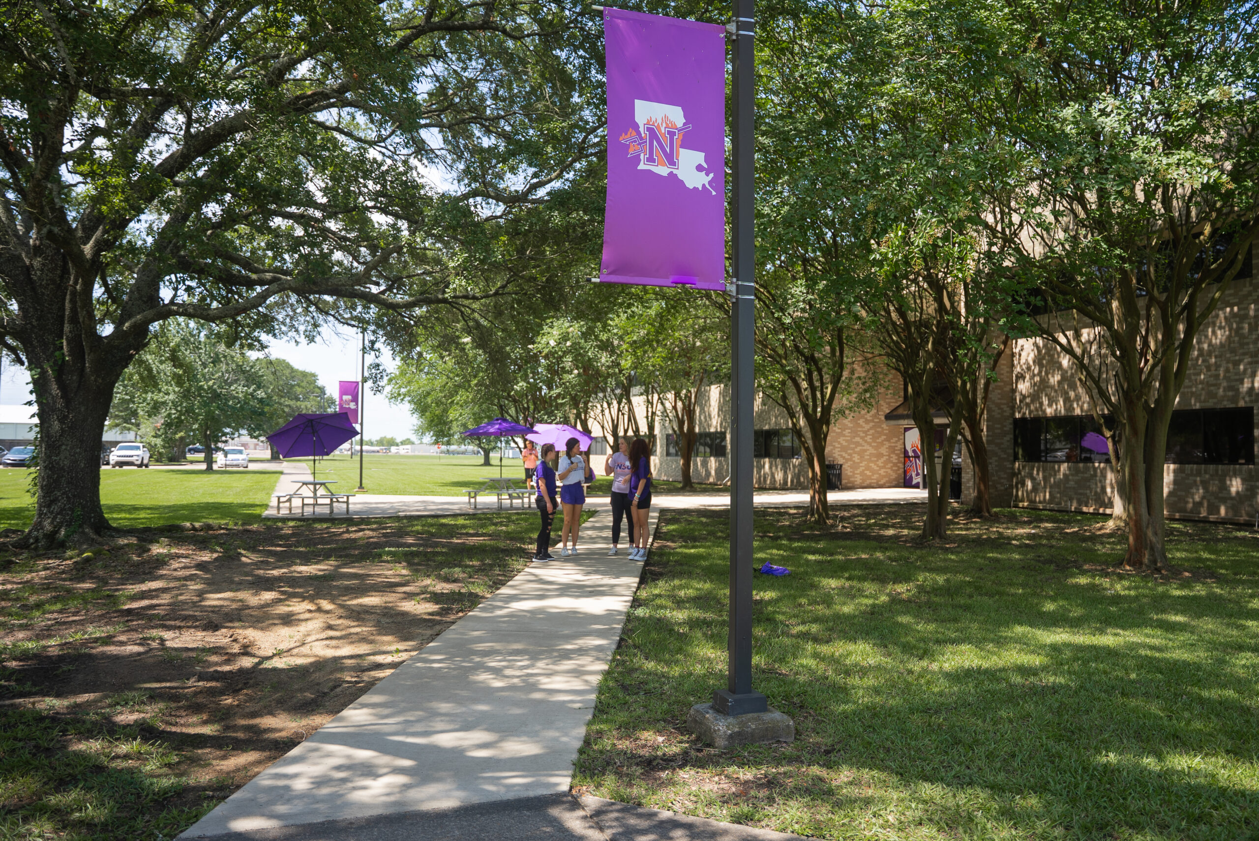 A group of NSU students gather on a sidewalk on campus