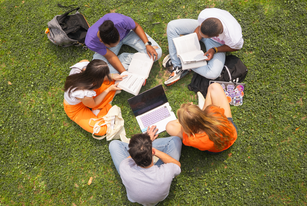 Students on lawn studying