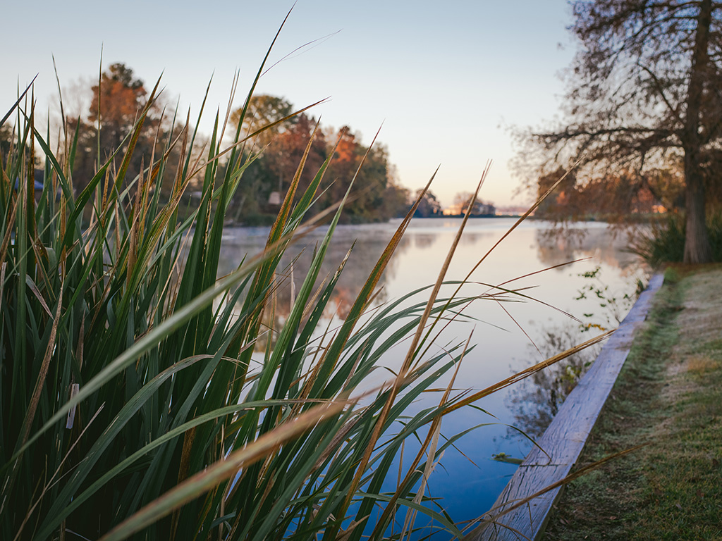 Chaplin Lake on campus of Northwestern State University