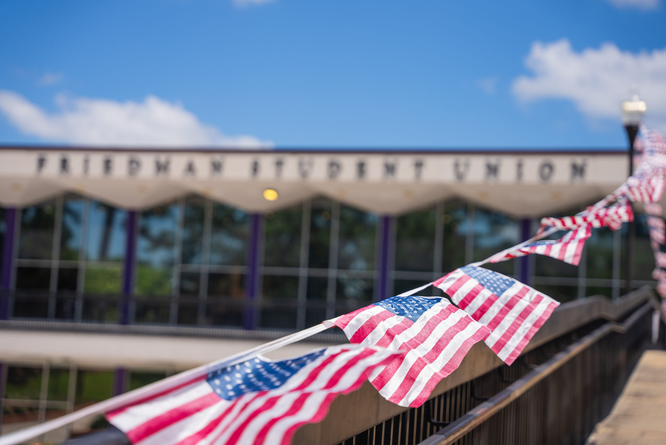 American flags on campus