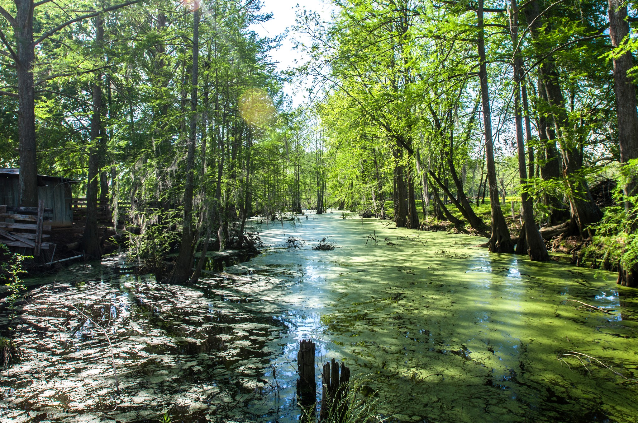 Cane River