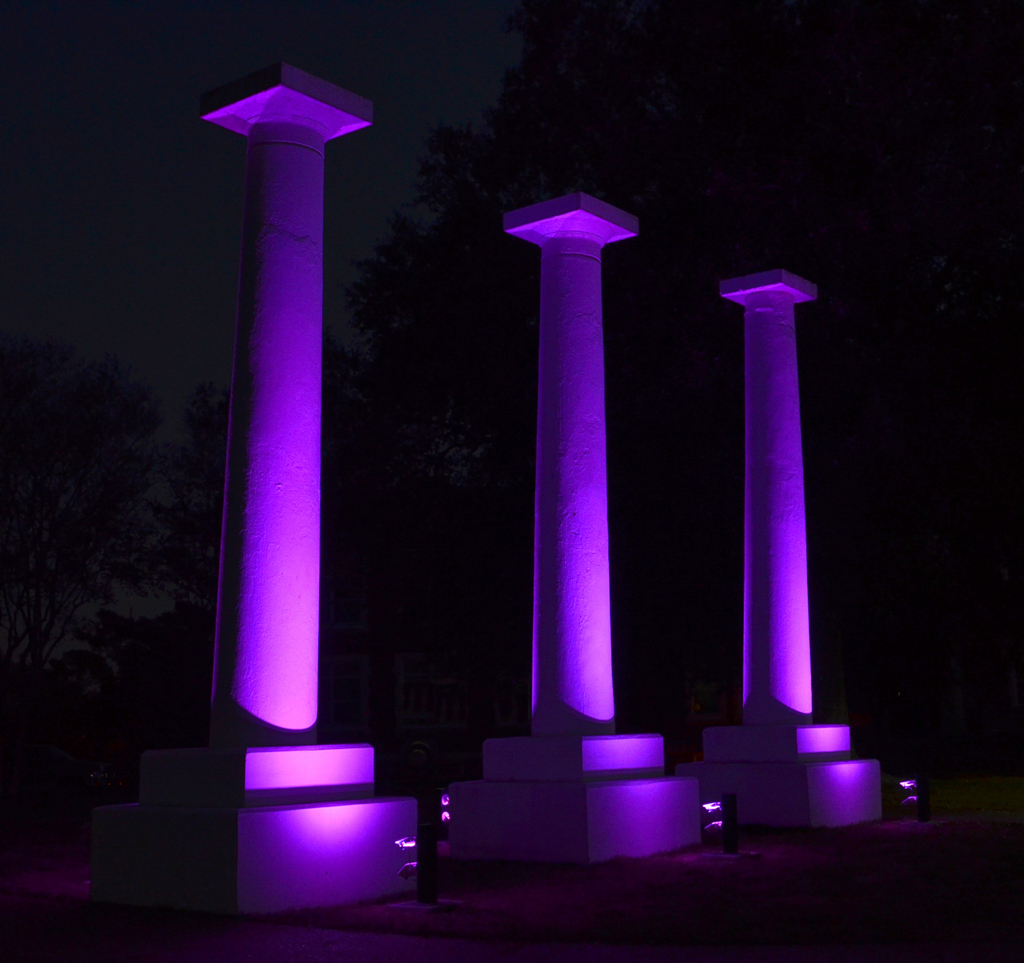 NSU columns highlighted purple