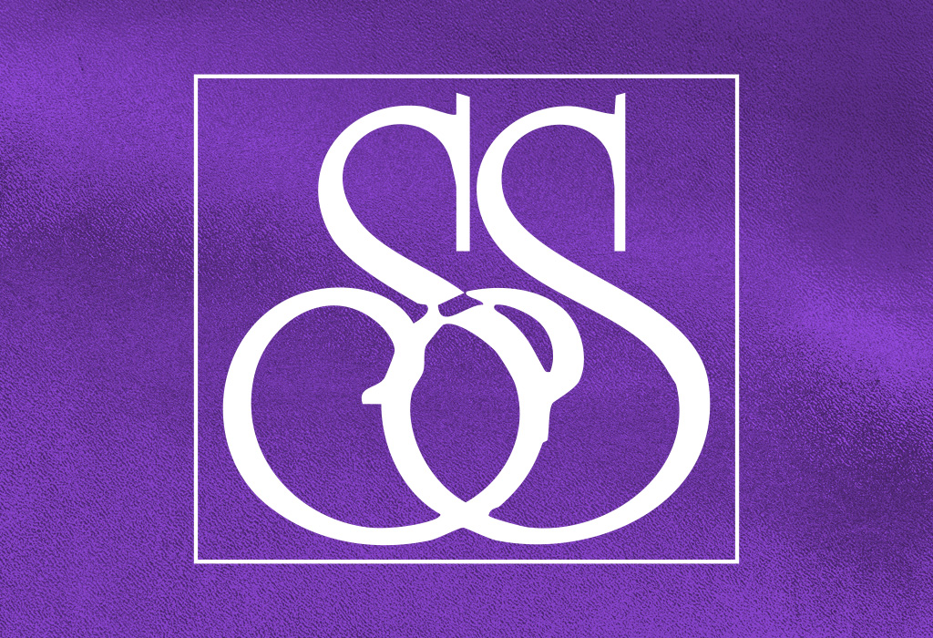 Southern Studies Logo