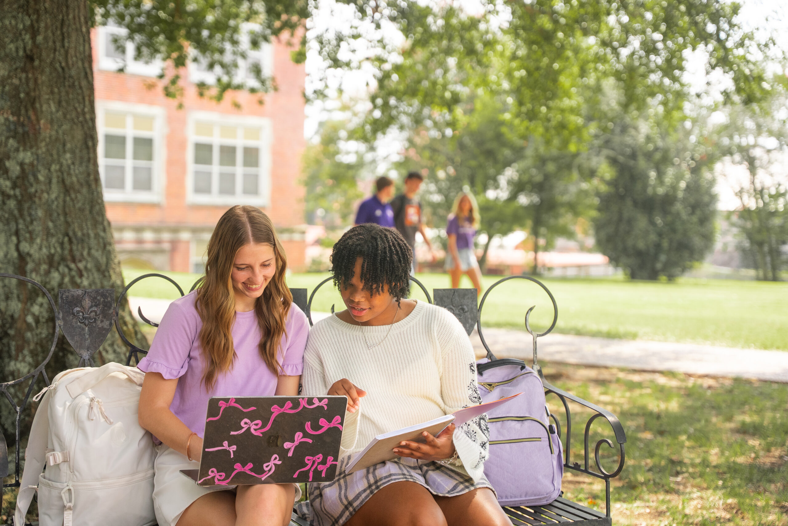 students studying on campus