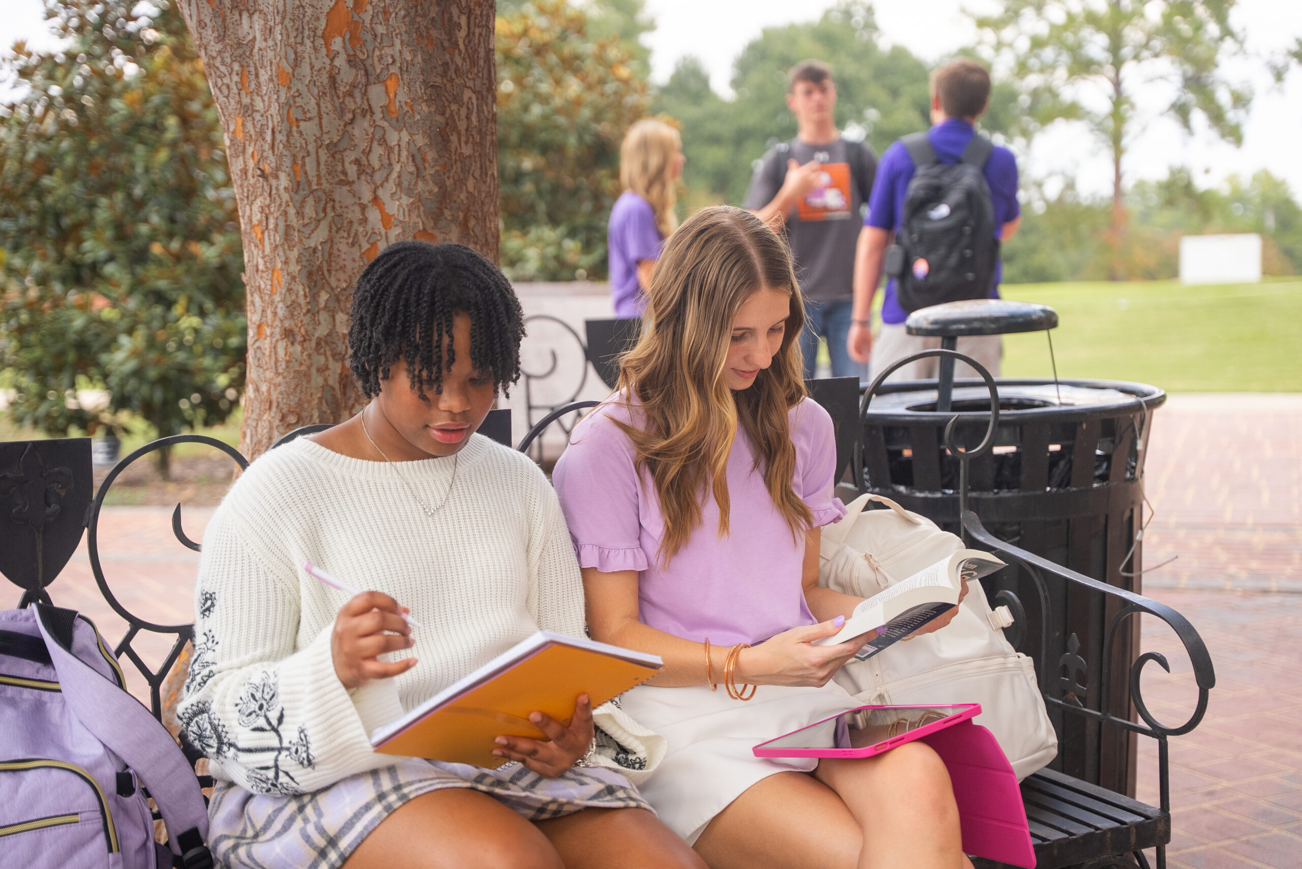 students studying on NSU's campus