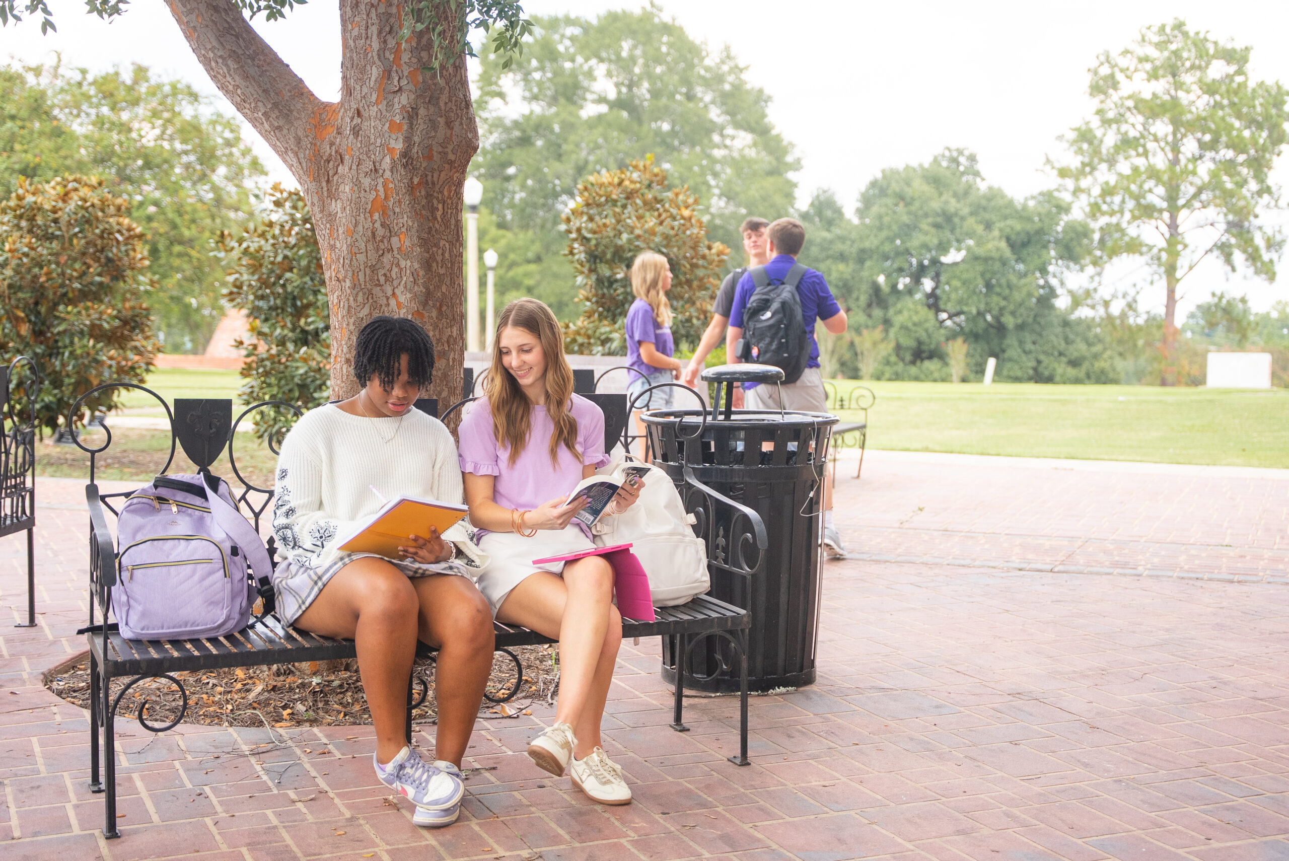 students studying on NSU's campus