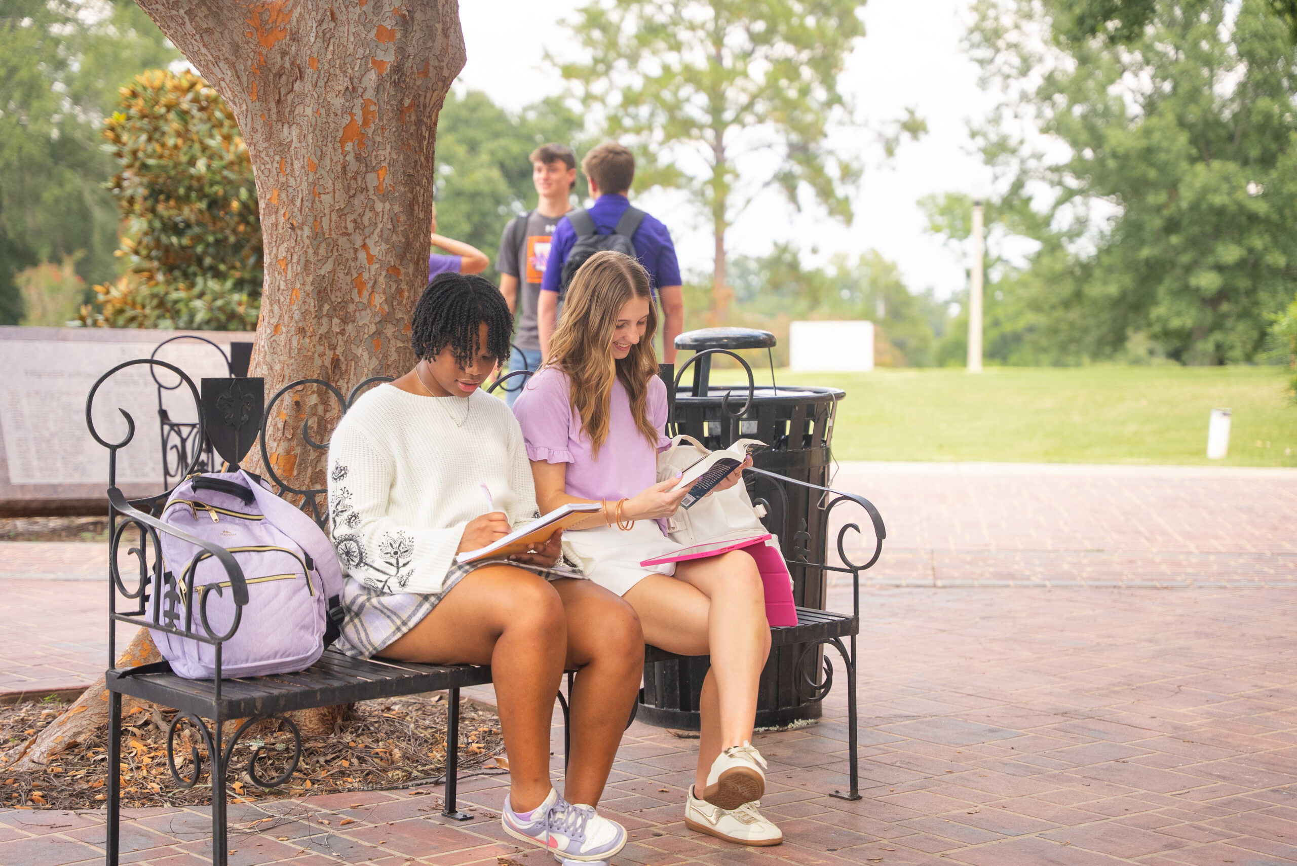 students studying on NSU's campus