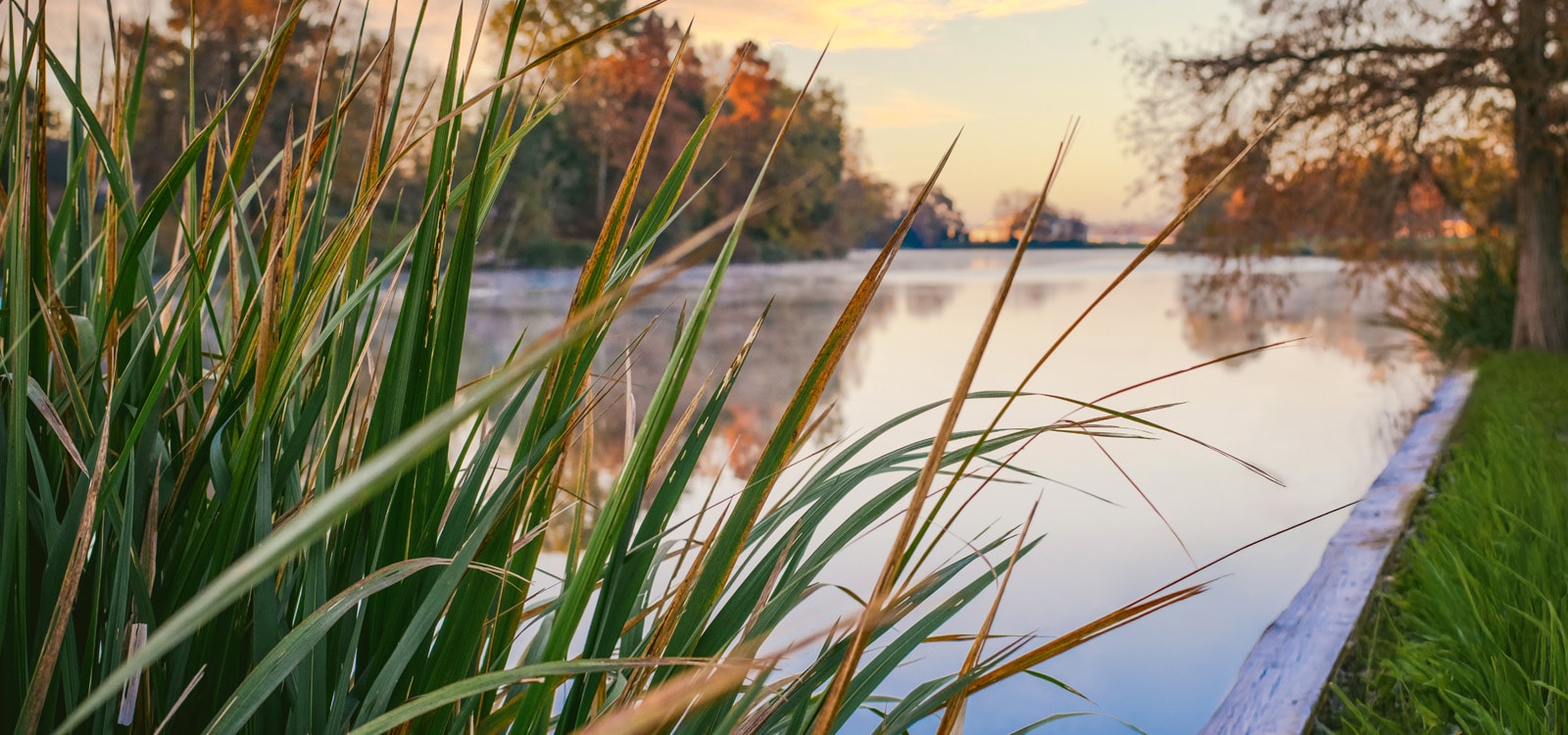 Sunrise on Chaplin's Lake at Northwestern State University