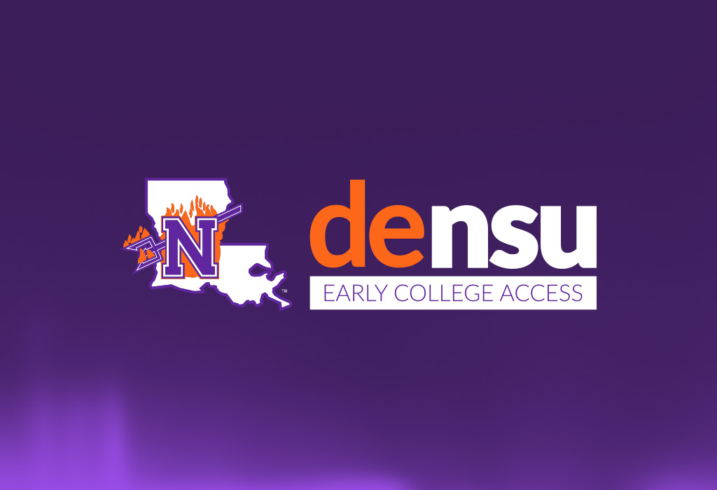 deNSU Logo
