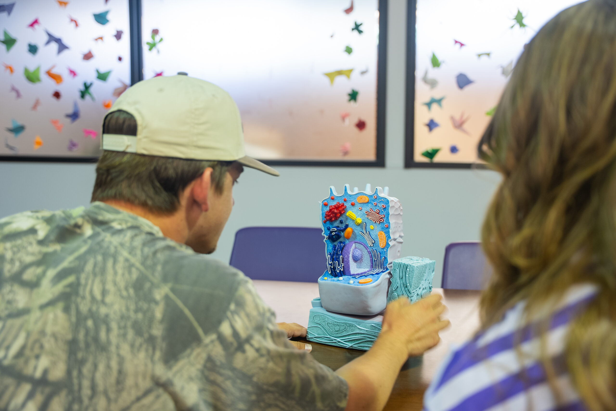 two students looking at an anatomy model at a table