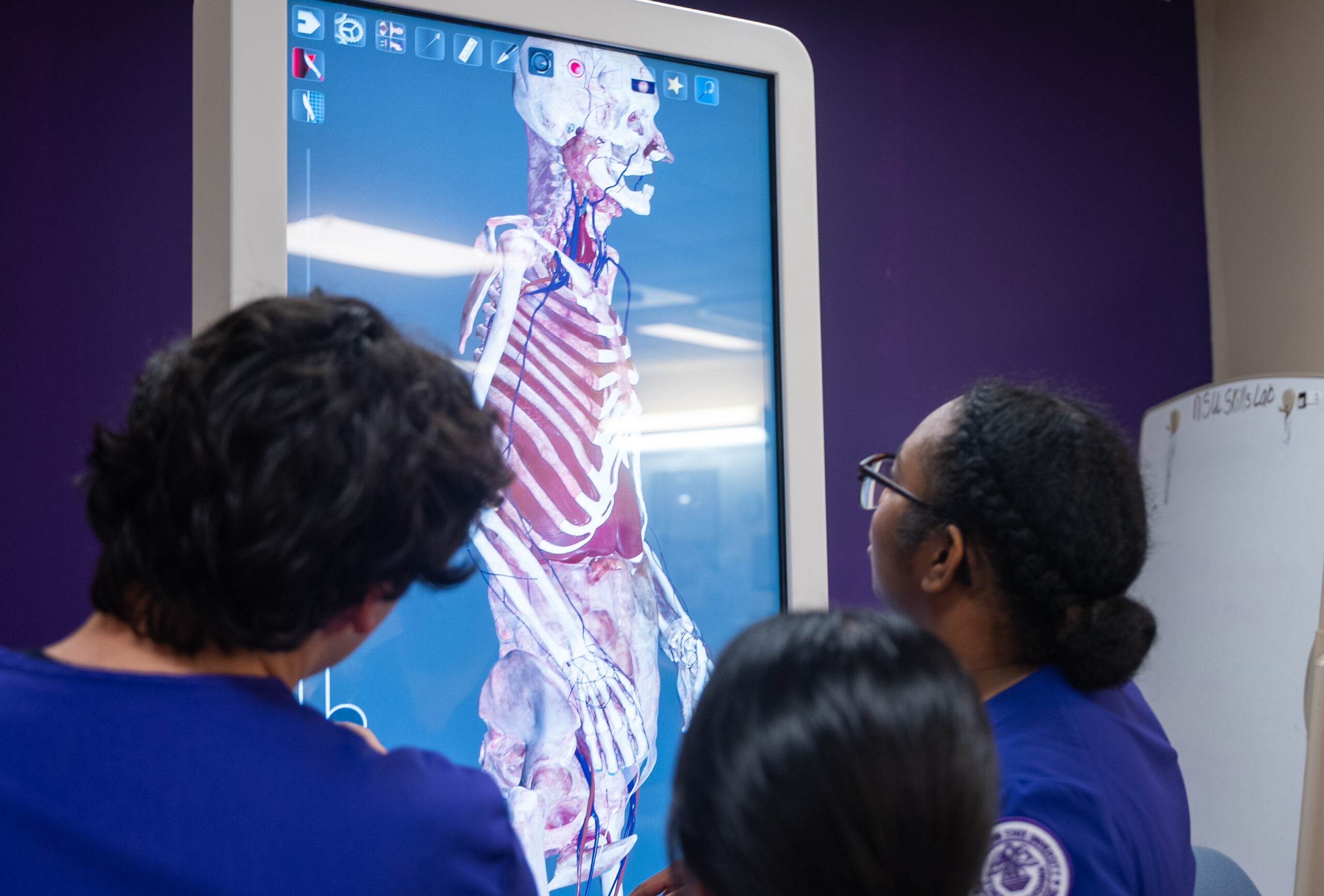 NSU students looking at an anatomy table