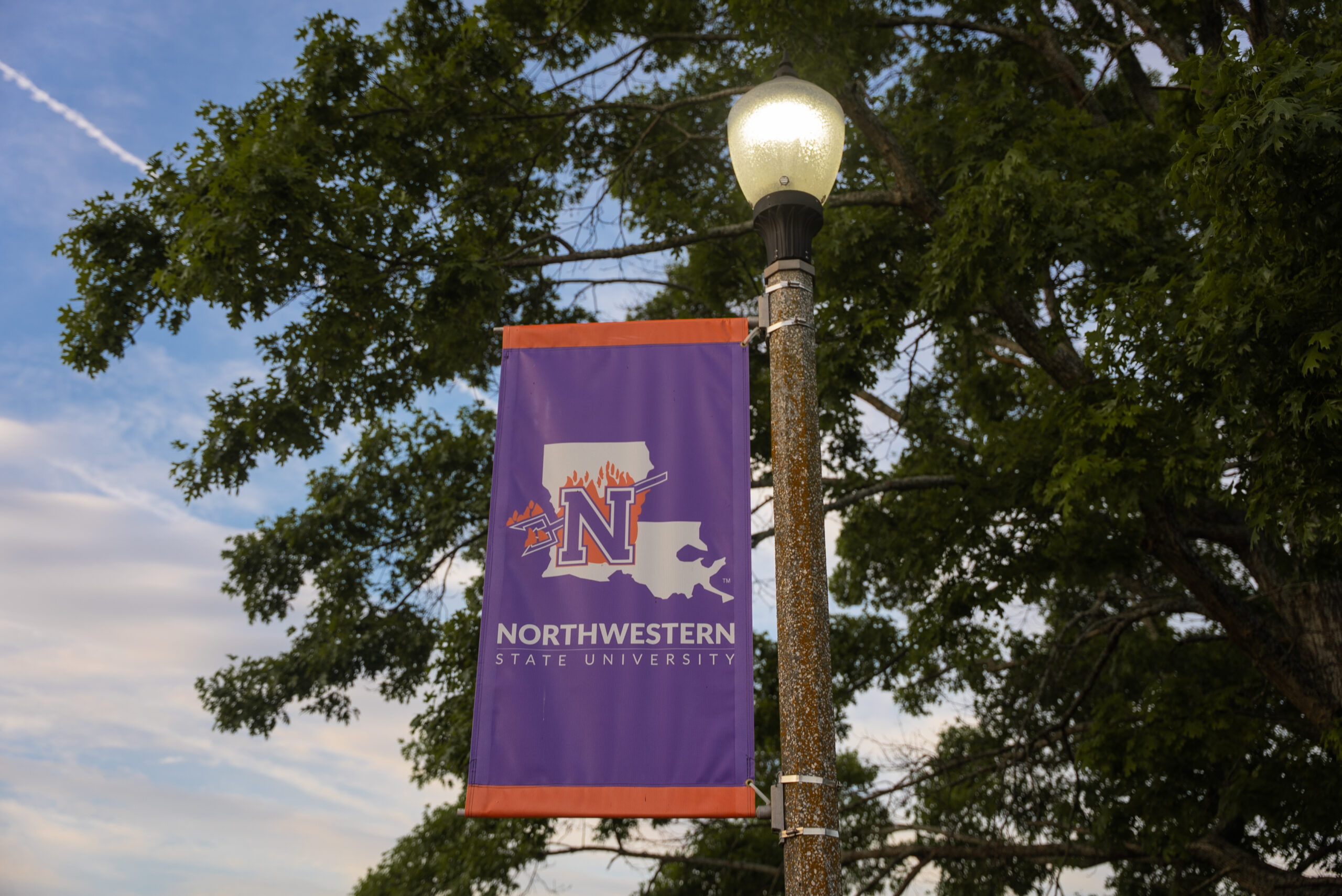 NSU flags on campus