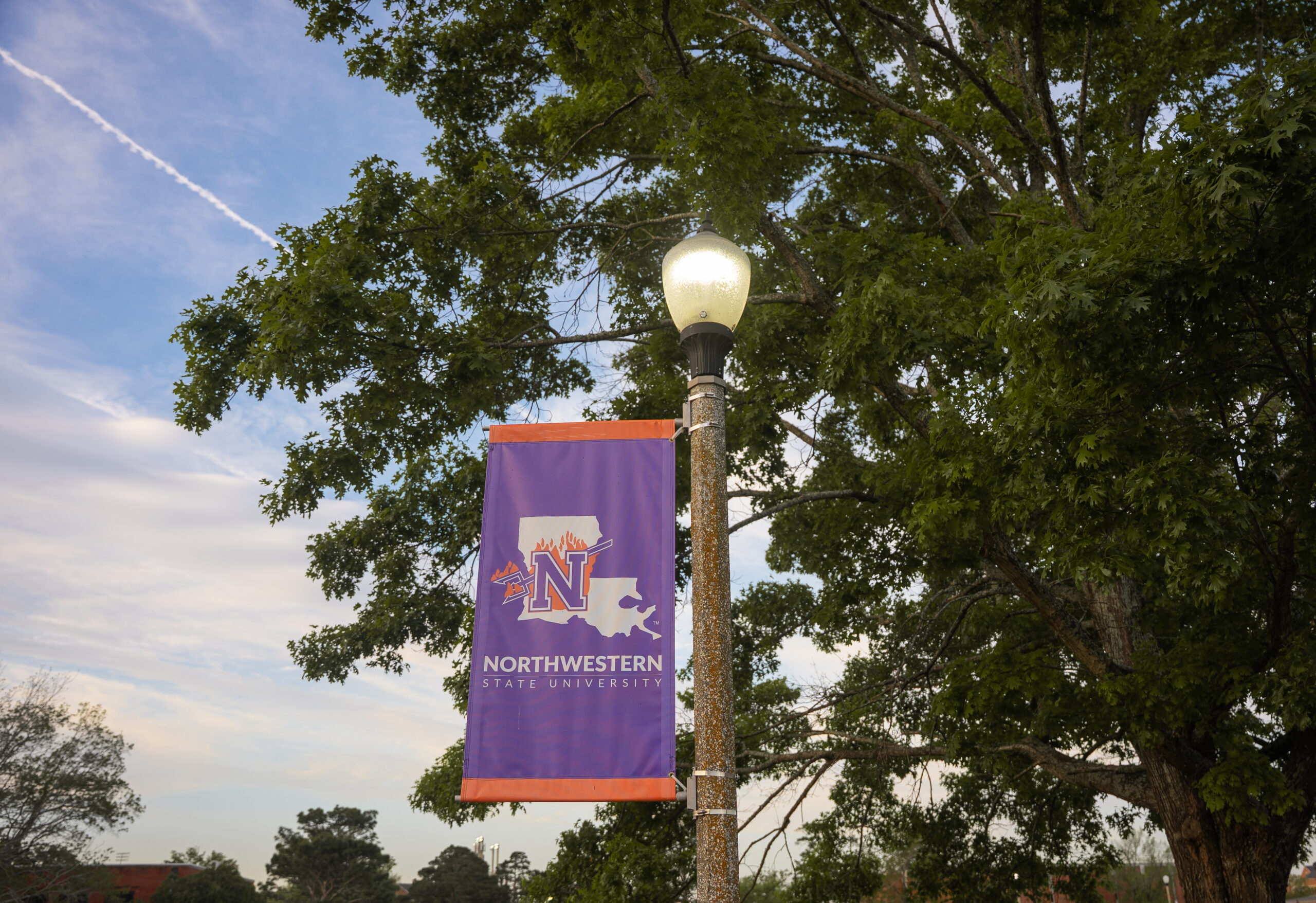 NSU flags on campus