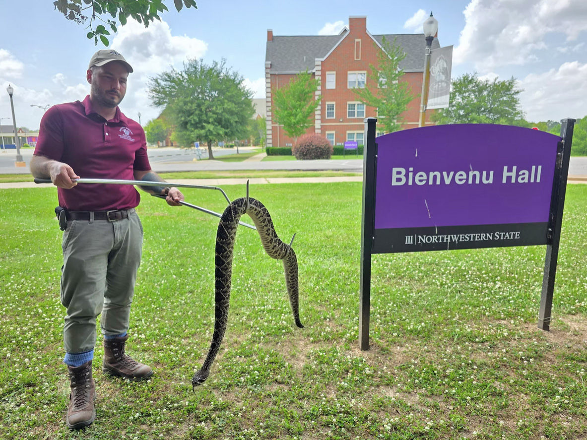 A snake handler at a previous Rattlesnake Conservancy workshop